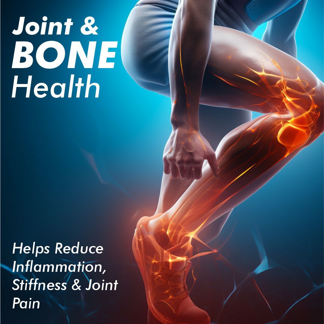 Vitaminnica Cod Liver Oil - Better Eyesight, Heart, Skin & Hair- 60 Softgels - Vitaminnica Healthcare