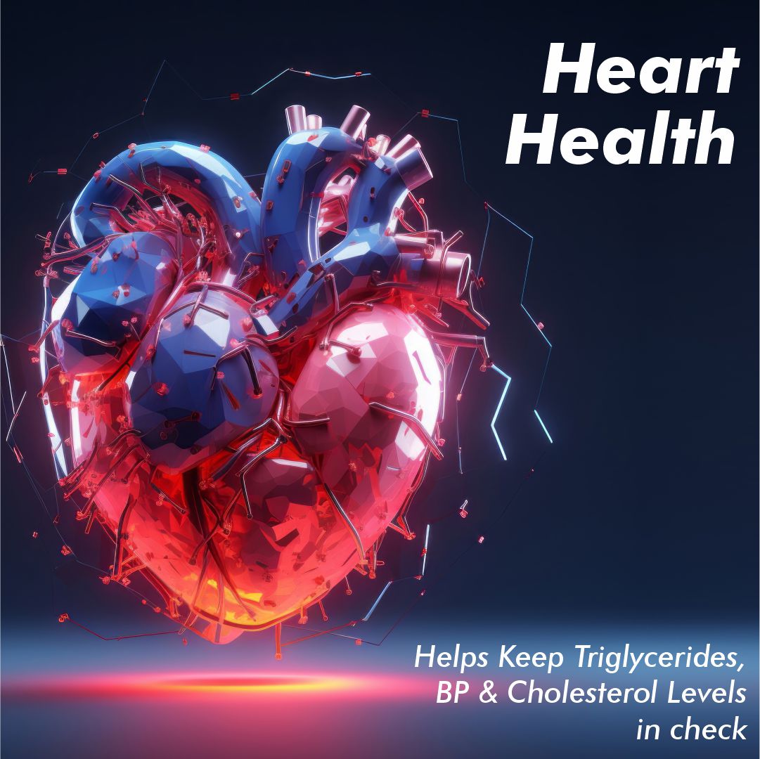 Vitaminnica Cod Liver Oil - Better Eyesight, Heart, Skin & Hair- 60 Softgels - Vitaminnica Healthcare