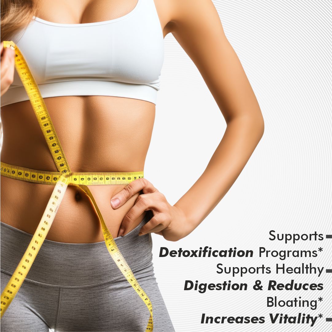 Vitaminnica VITA SHRED Extreme Fat Burner- 60 Capsules - Vitaminnica Healthcare