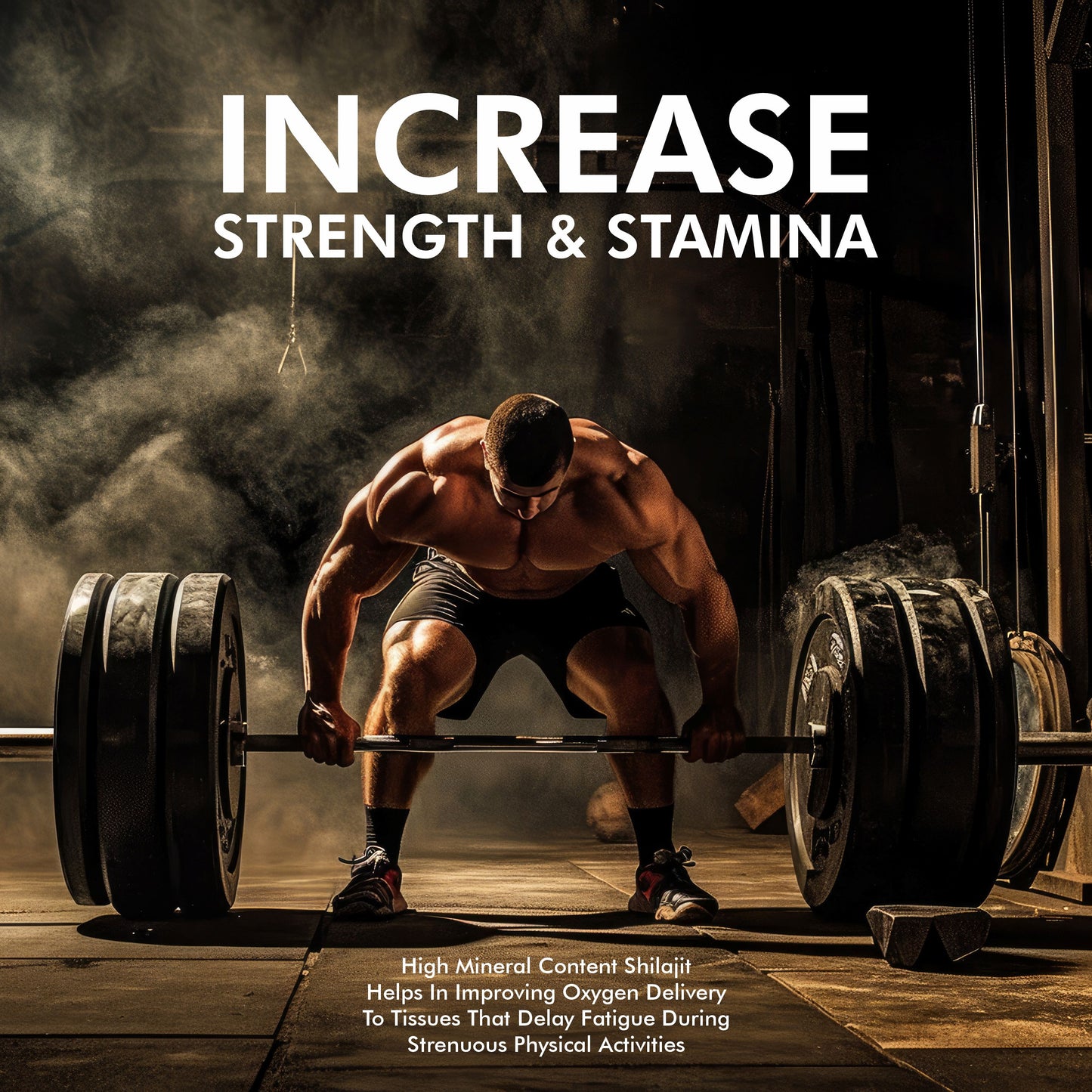 Vitaminnica Shilajit Resin + Pump Expert Arginine AAKG Capsules- Combo Offer | Recharge Your Energy, Strength & Focus — Naturally - Vitaminnica Healthcare