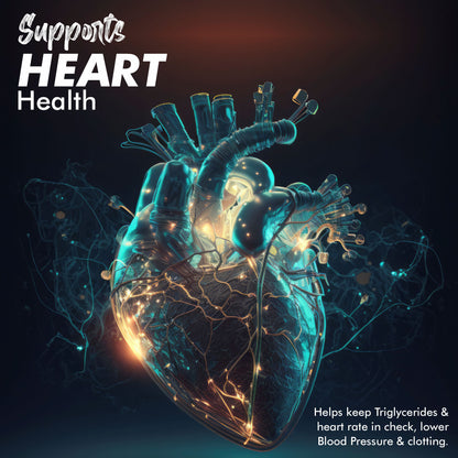 Vitaminnica Omega 3 - Better Heart. Skin, Eye Health & Improves Sleep Cycle- 60 Softgels - Vitaminnica Healthcare