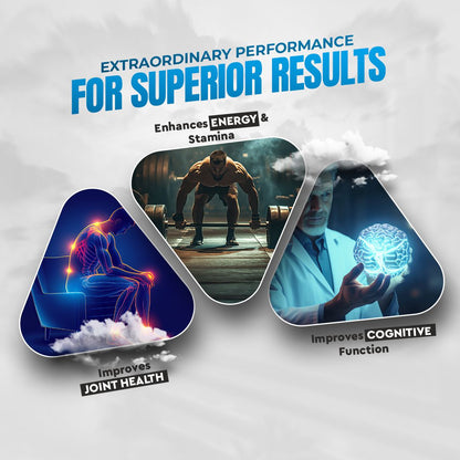 Vitaminnica Shilajit- 20 Effervescent Tablets – Natural Energy, Strength & Stamina Booster for Men & Women | Himalayan Shilajit Extract with Fulvic Acid for Vitality & Performance - Vitaminnica Healthcare