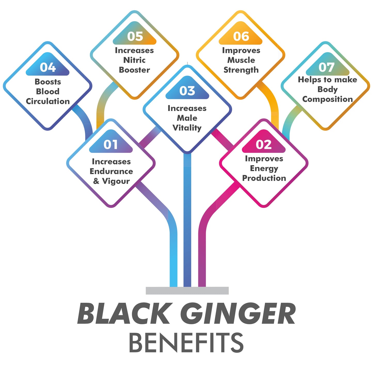 Vitaminnica Black Ginger- 60 Capsules for Men & Women | Energy Boost, Anti-Inflammatory Properties - Vitaminnica Healthcare