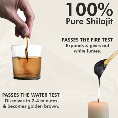 Vitaminnica Shilajit Resin + Pump Expert Arginine AAKG Capsules- Combo Offer | Recharge Your Energy, Strength & Focus — Naturally - Vitaminnica Healthcare