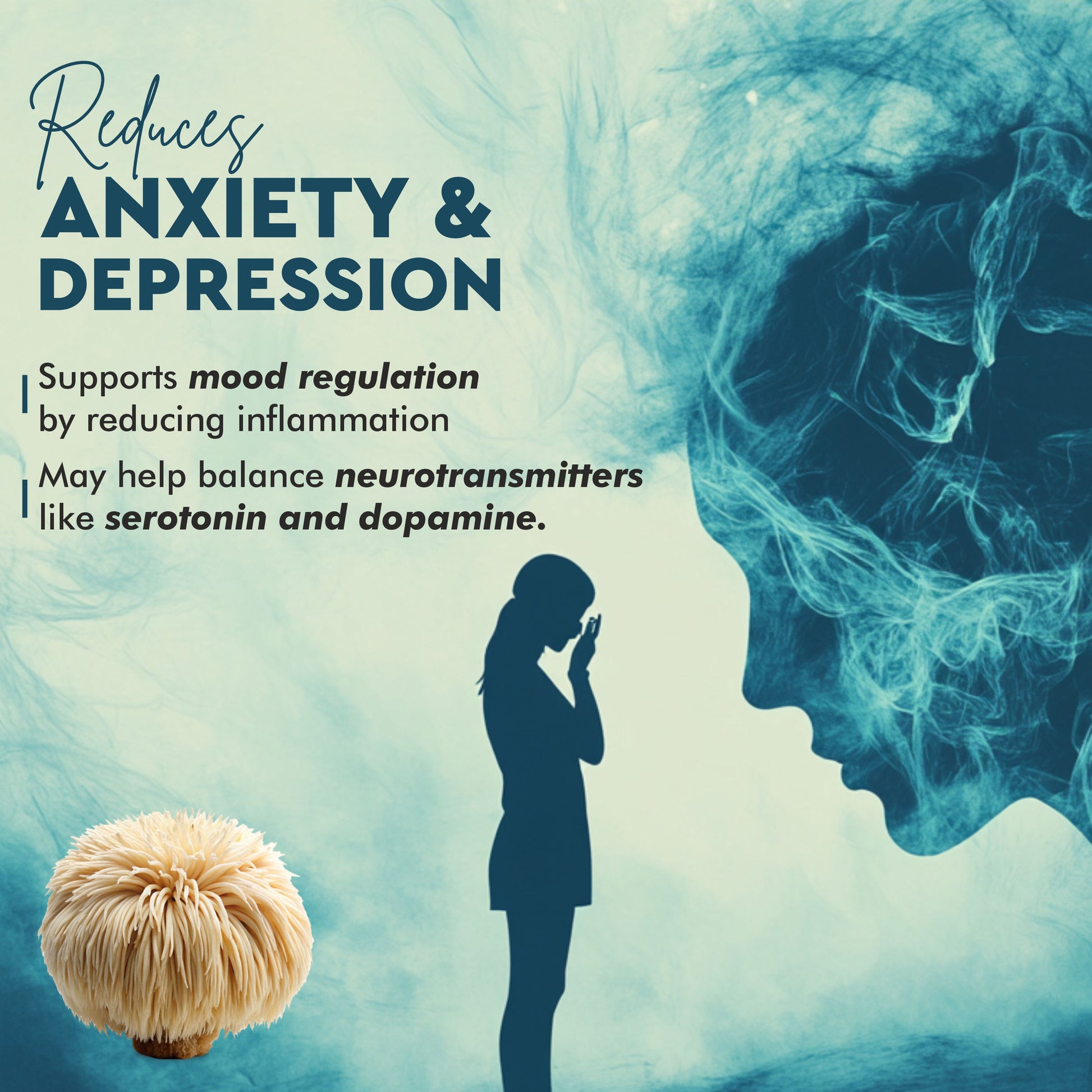 Vitaminnica Lion’s Mane Mushroom- 20 Effervescent Tablets | Brain Boost, Focus, Memory & Cognitive Support | Natural Nootropic Supplement | Mental Clarity, Nerve Health & Mood Enhancer | Vegan & Sugar-Free Tablets - Vitaminnica Healthcare