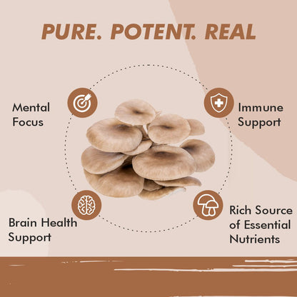 Vitaminnica Oyster Mushroom- 60 Capsules - Vitaminnica Healthcare