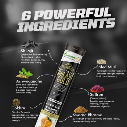 Vitaminnica Shilajit Gold- 20 Effervescent Tablets | Ashwagandha, Gokhru, Saffron & Swarna Bhasma (Gold Dust) for Natural Vitality, Strength & Performance Booster - Vitaminnica Healthcare