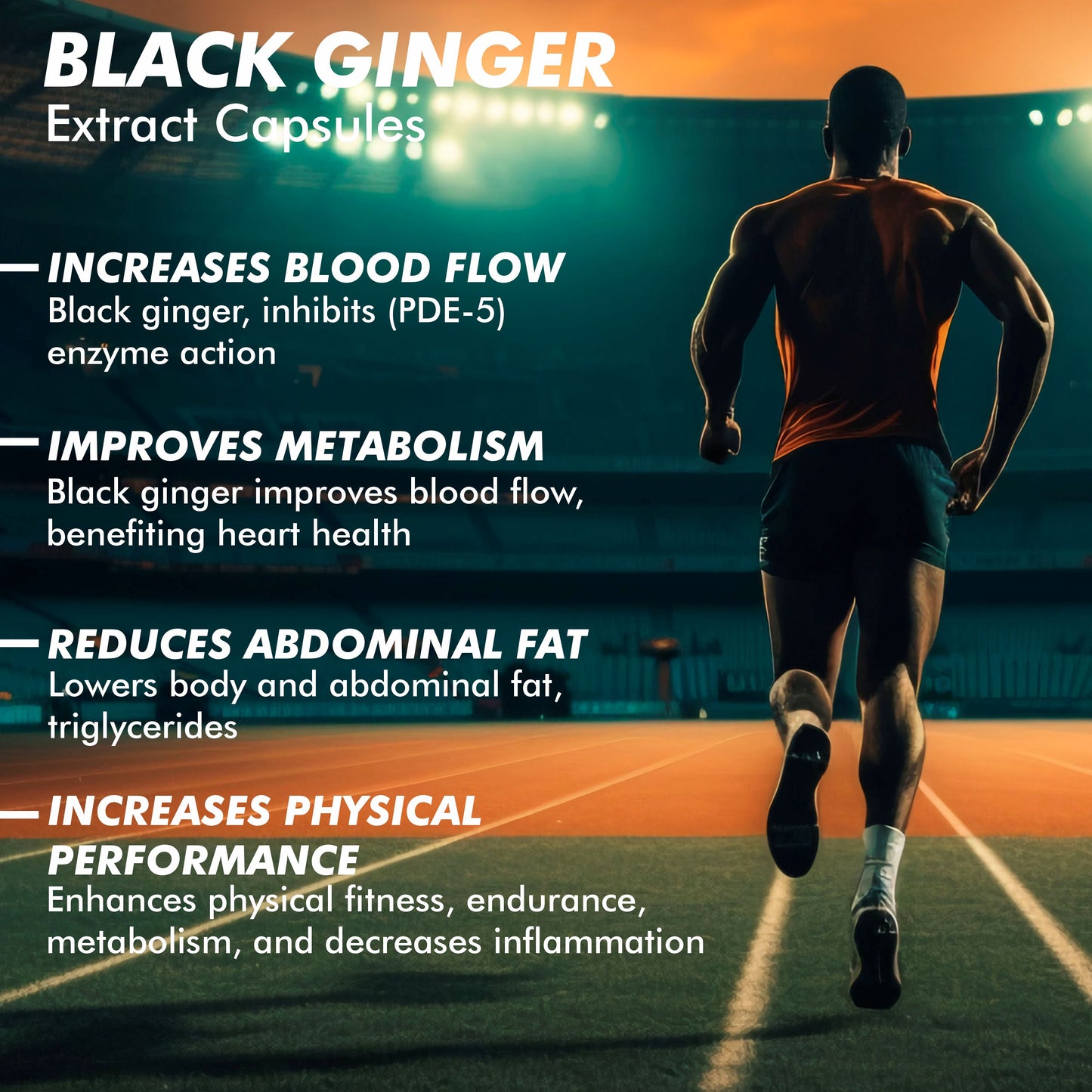 Vitaminnica Black Ginger- 60 Capsules for Men & Women | Energy Boost, Anti-Inflammatory Properties - Vitaminnica Healthcare