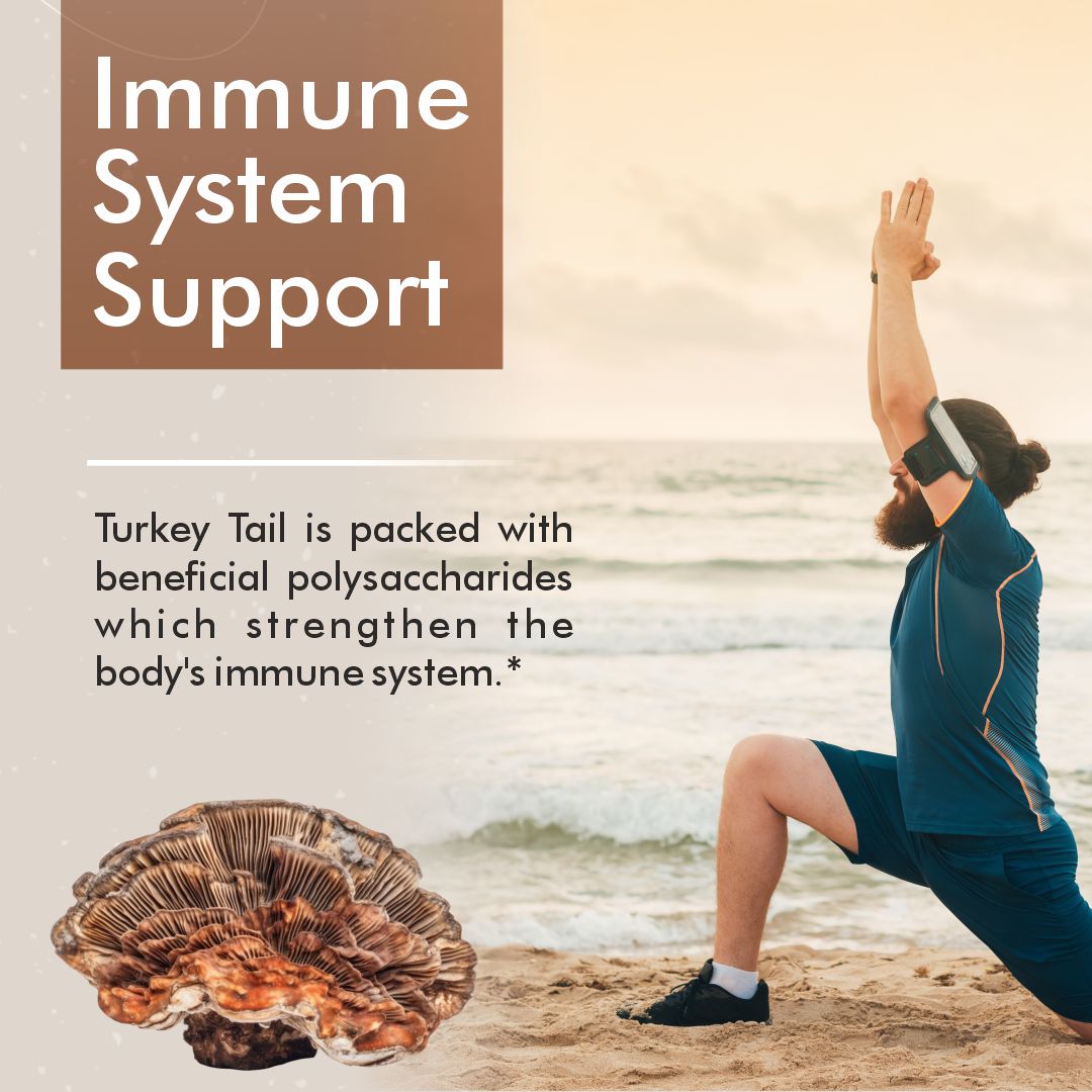 Vitaminnica Turkey Tail Mushroom- 60 Capsules - Vitaminnica Healthcare