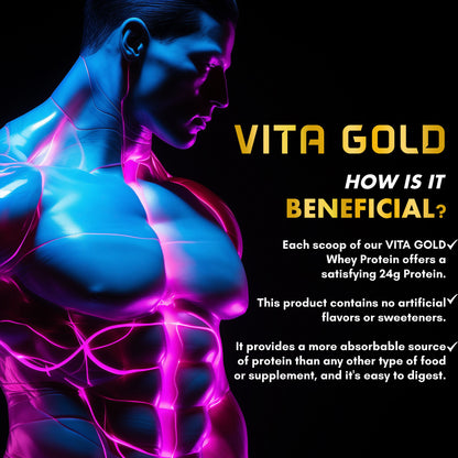 Vitaminnica Vita Gold 100% Whey Protein Powder- 5 Lbs (75 Servings) | UK Formulation with Digestive Enzymes - Vitaminnica Healthcare