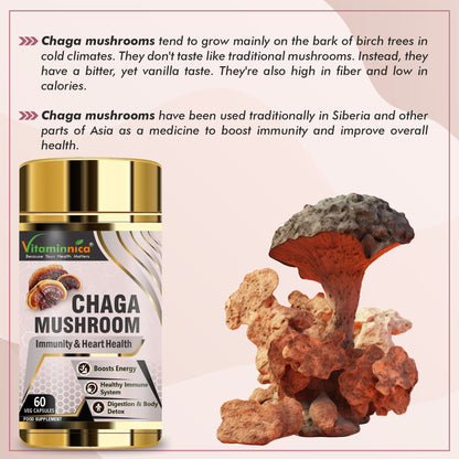 Vitaminnica Chaga Mushroom- 60 Capsules - Vitaminnica Healthcare